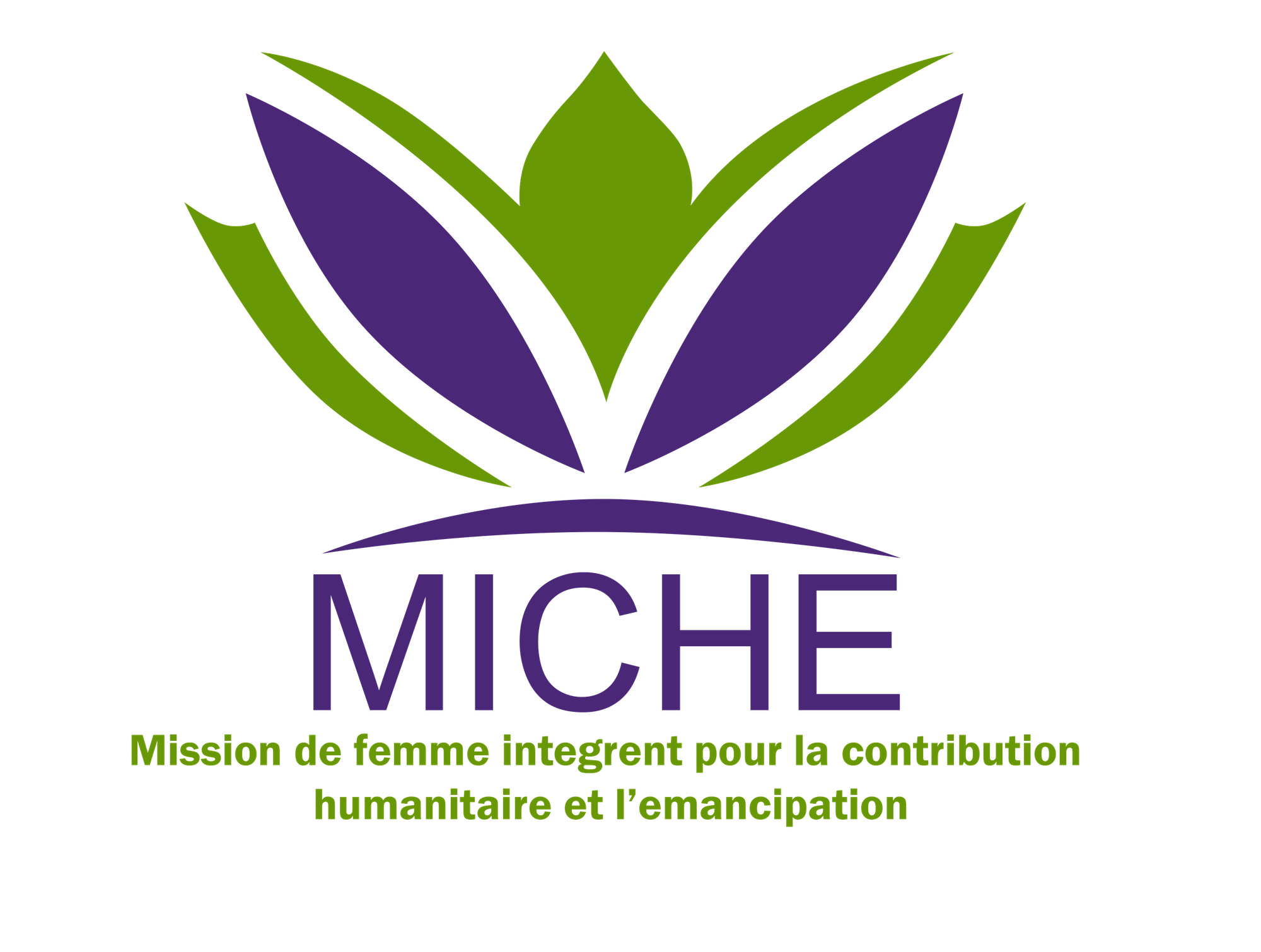 MICHE asbl